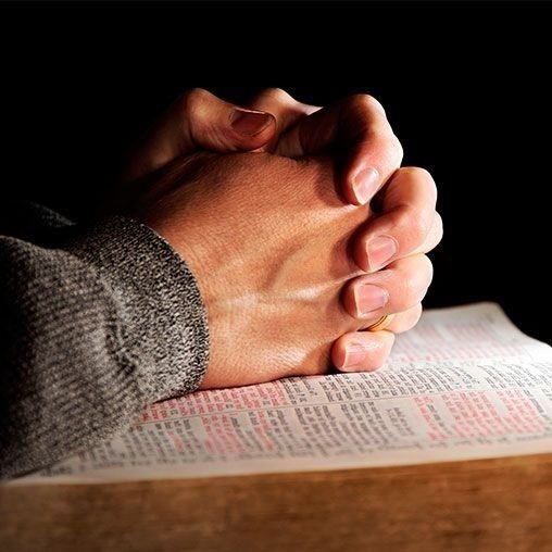 2cc8d8c7cdd2d14f39316d28594eed67