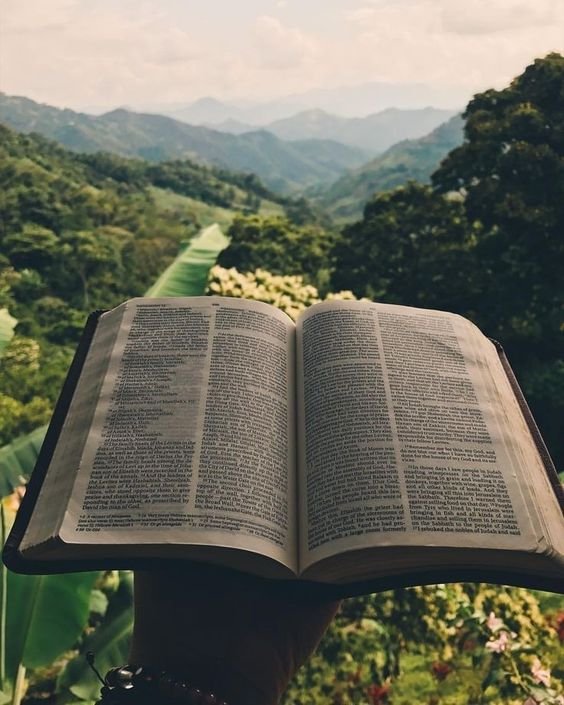 3773c3bbde4d079d50571f1fe26646e2