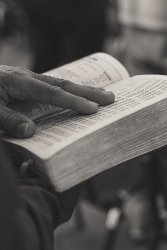 5597cd8ea44f75378d2d4856ce1b5e1c