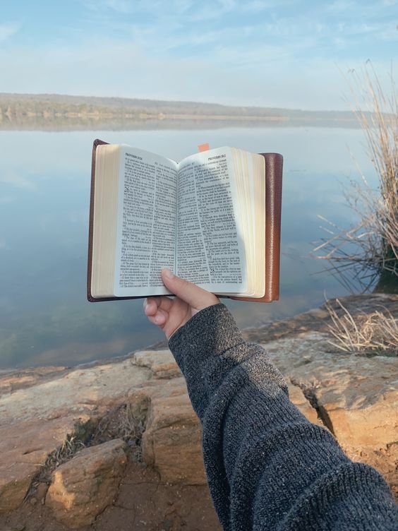 6b428853481c0bc196a43927a8b99714