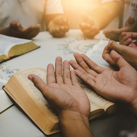 e2754a808e98bea56d9bd078586ef9ed