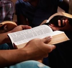 3a668c87aa416195c2c9297df4e998a4