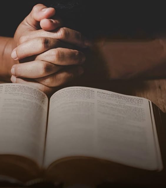 6282a9c3415ecbe9d7334e5294f740c2