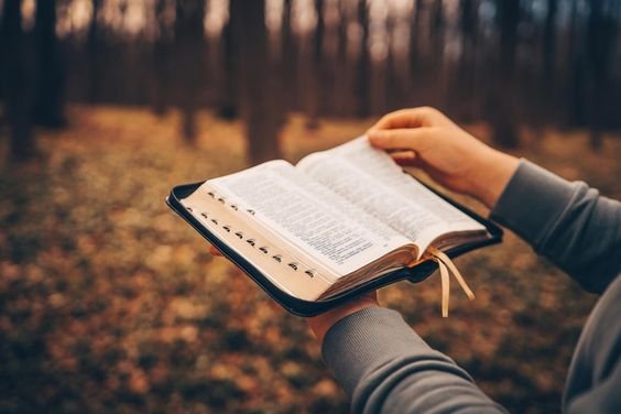 fc76a9675bd41bf2894c7c1691085a0d