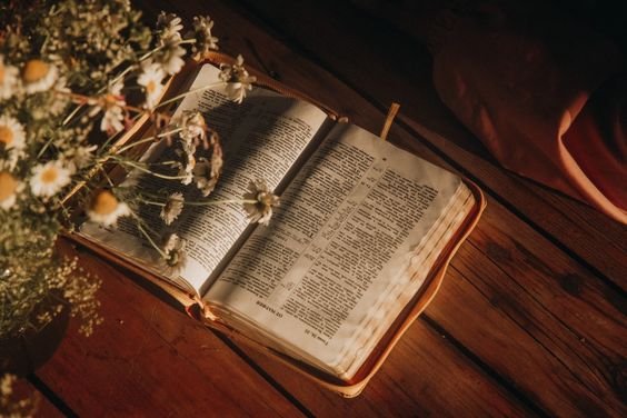 0f7b434ccfbd500f0412a1159dc1f63e