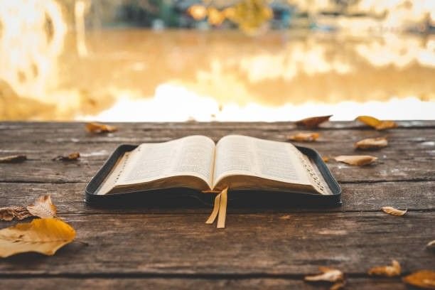 8afecb8d458223857548840d12a64216