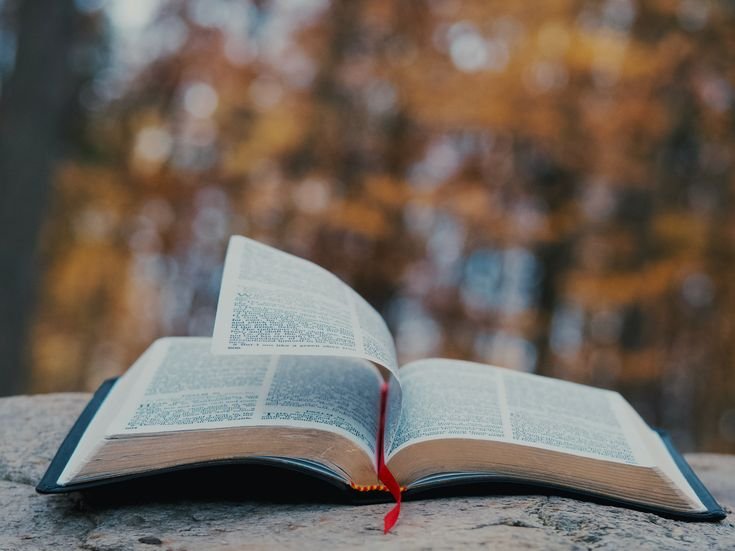 9f922e59c9bfcee54ae56db7824f33a7