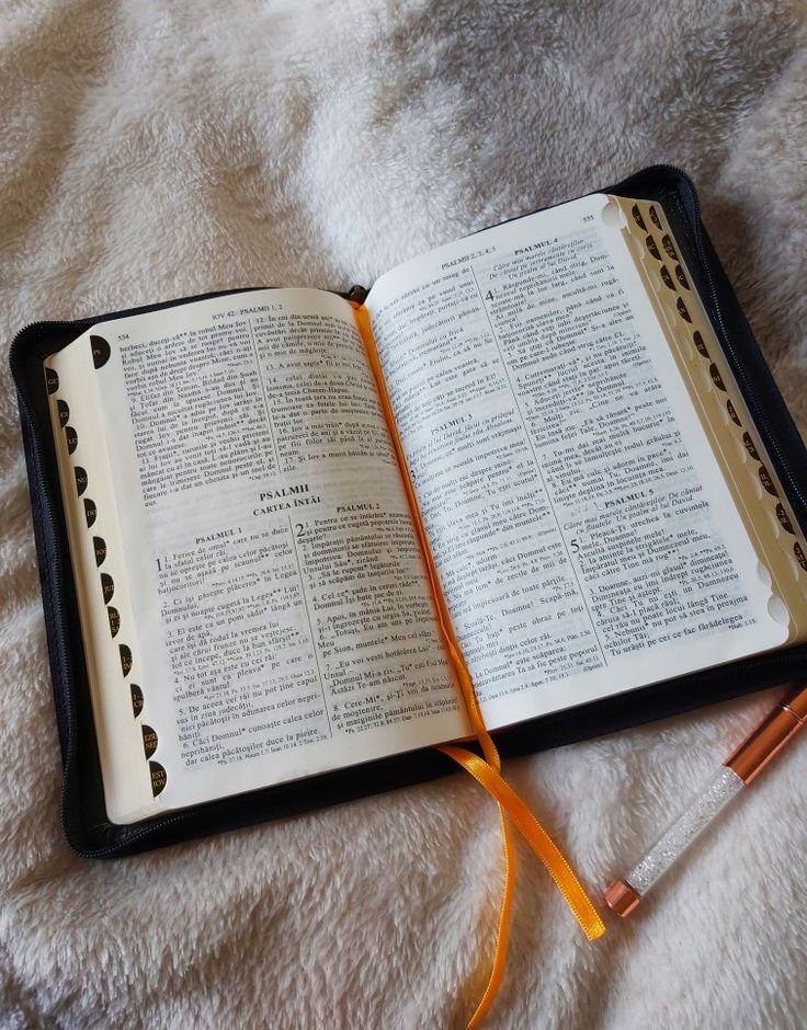 8cfb0af1c6a2f504d8331090b935d4e6 1