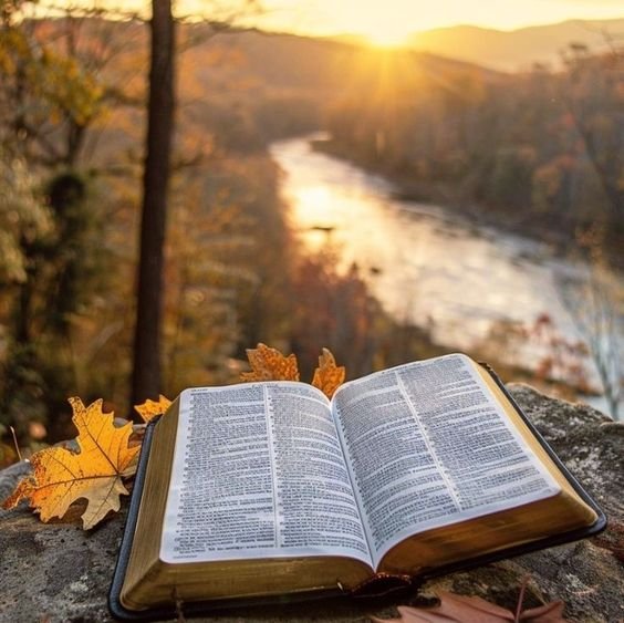 914090edefe10152902546e35ce84654