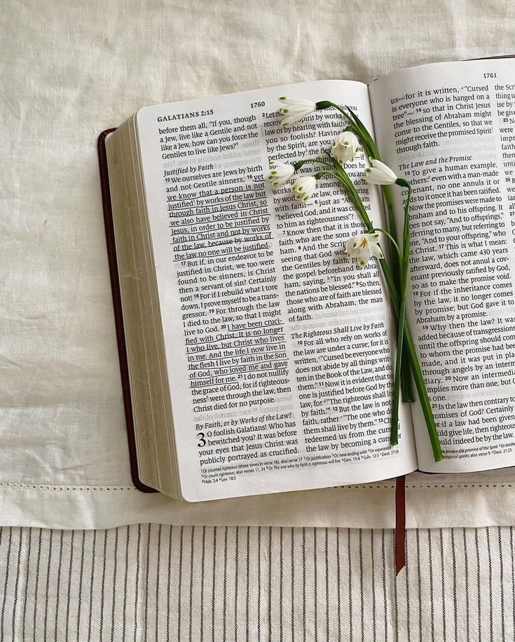 a0052112c97e4ee991dfc148e654335a