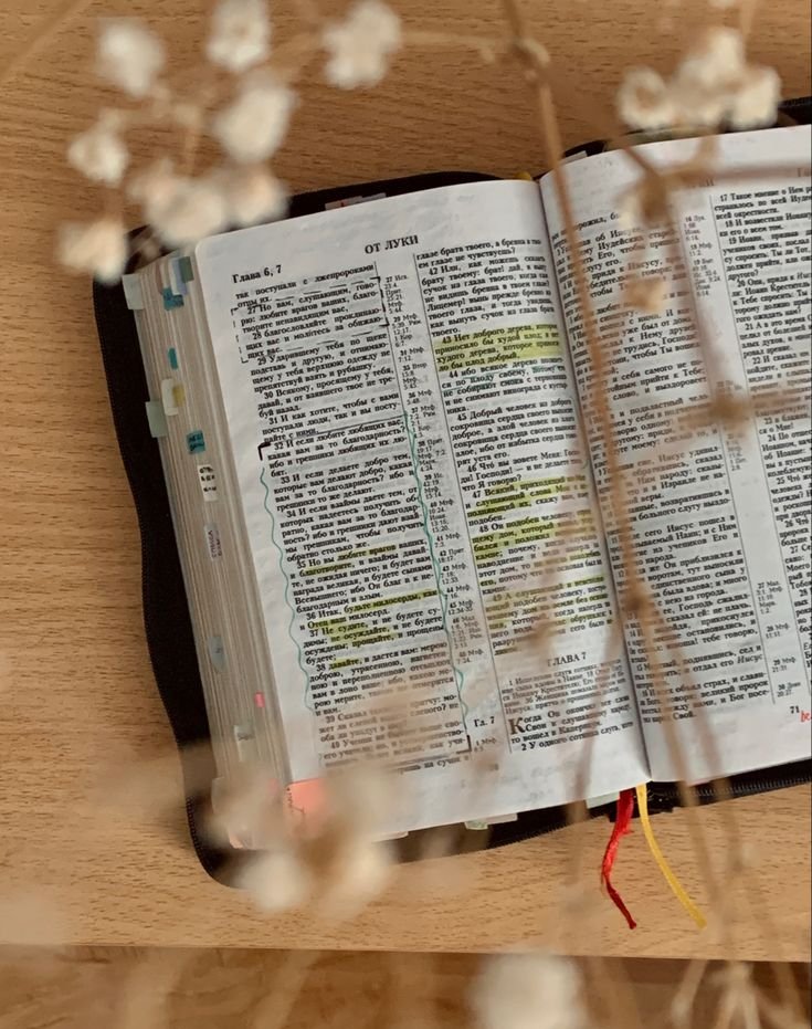 e07a01f1331bdda10a9e22cc37b53675