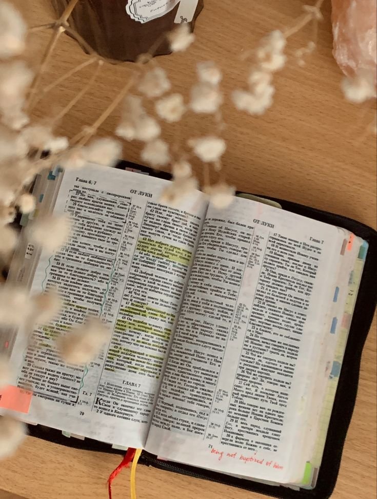 f50985a088a5a06984dc57f8b25cbb19