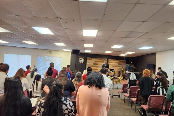 WhatsApp Image 2024 06 17 at 12.54.00 PM